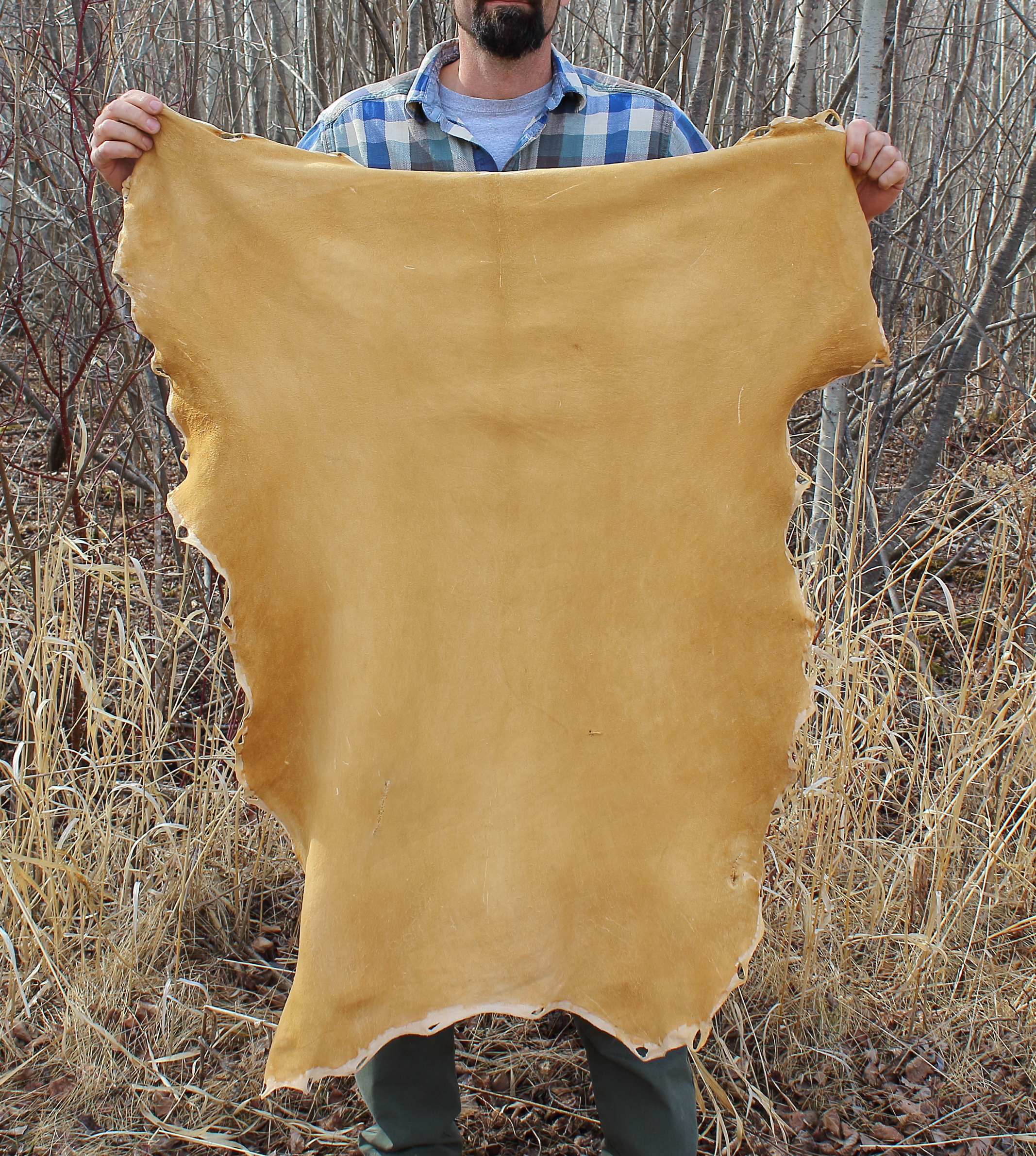 Brain-tanning Deer Hides for Leather – Chumash Science Through Time