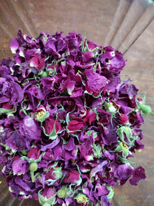 dried wild roses